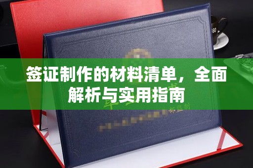丰城签证制作的材料清单，全面解析与实用指南